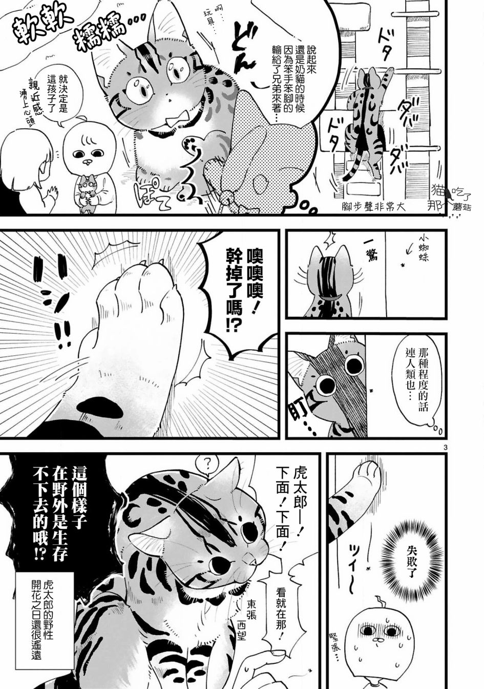 《全世猫》漫画最新章节第4话免费下拉式在线观看章节第【4】张图片