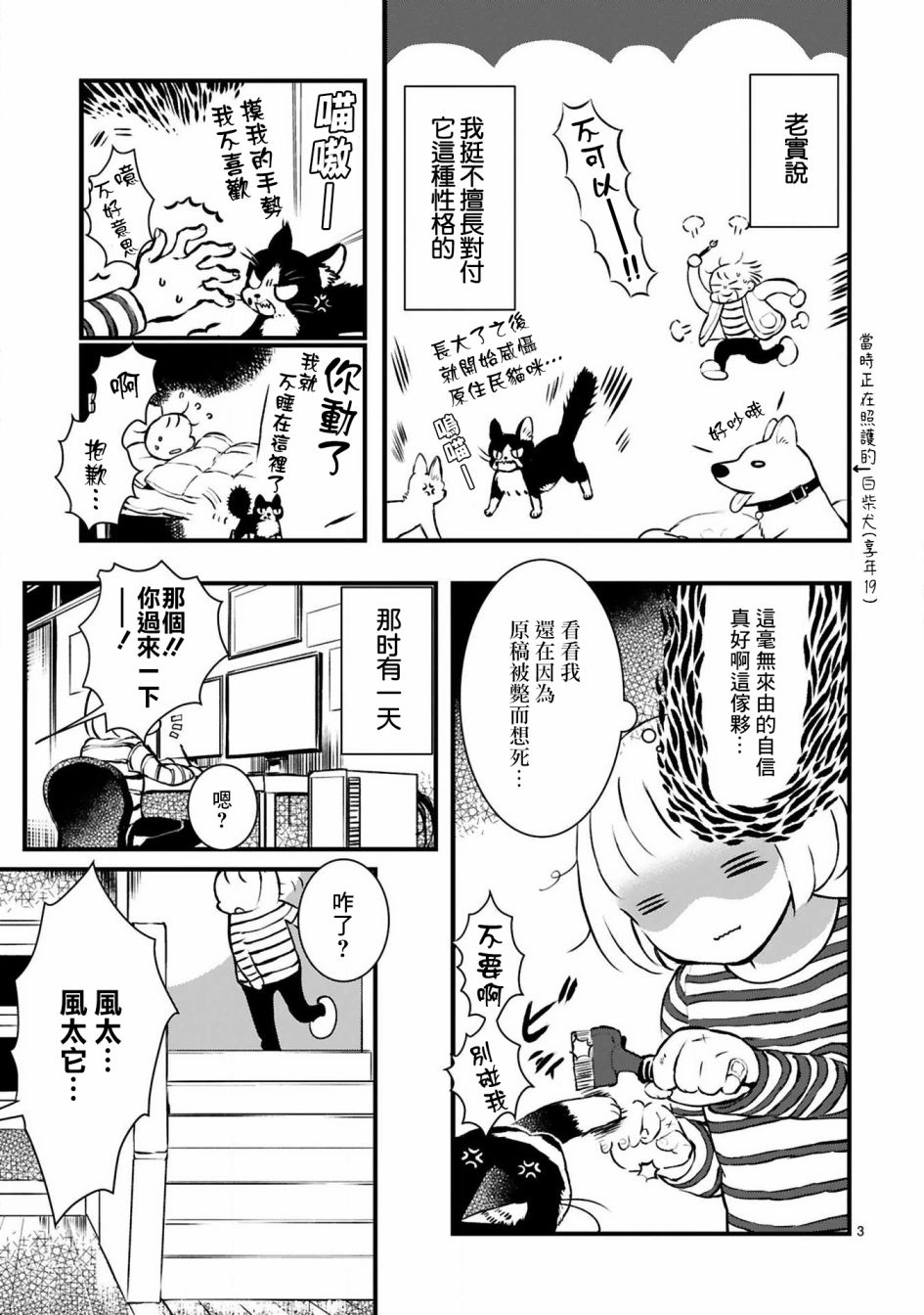 《全世猫》漫画最新章节第14话免费下拉式在线观看章节第【3】张图片