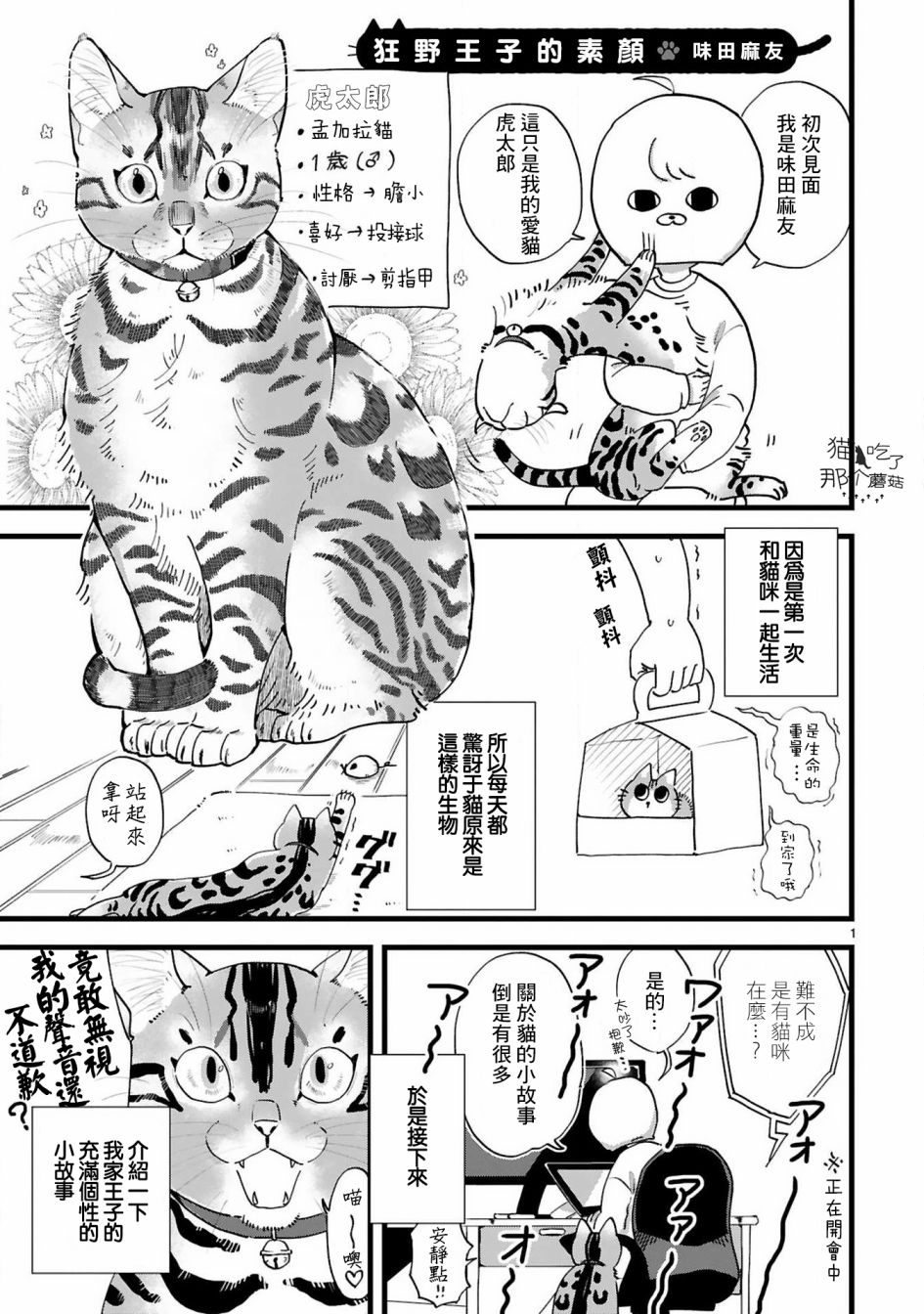 《全世猫》漫画最新章节第4话免费下拉式在线观看章节第【2】张图片