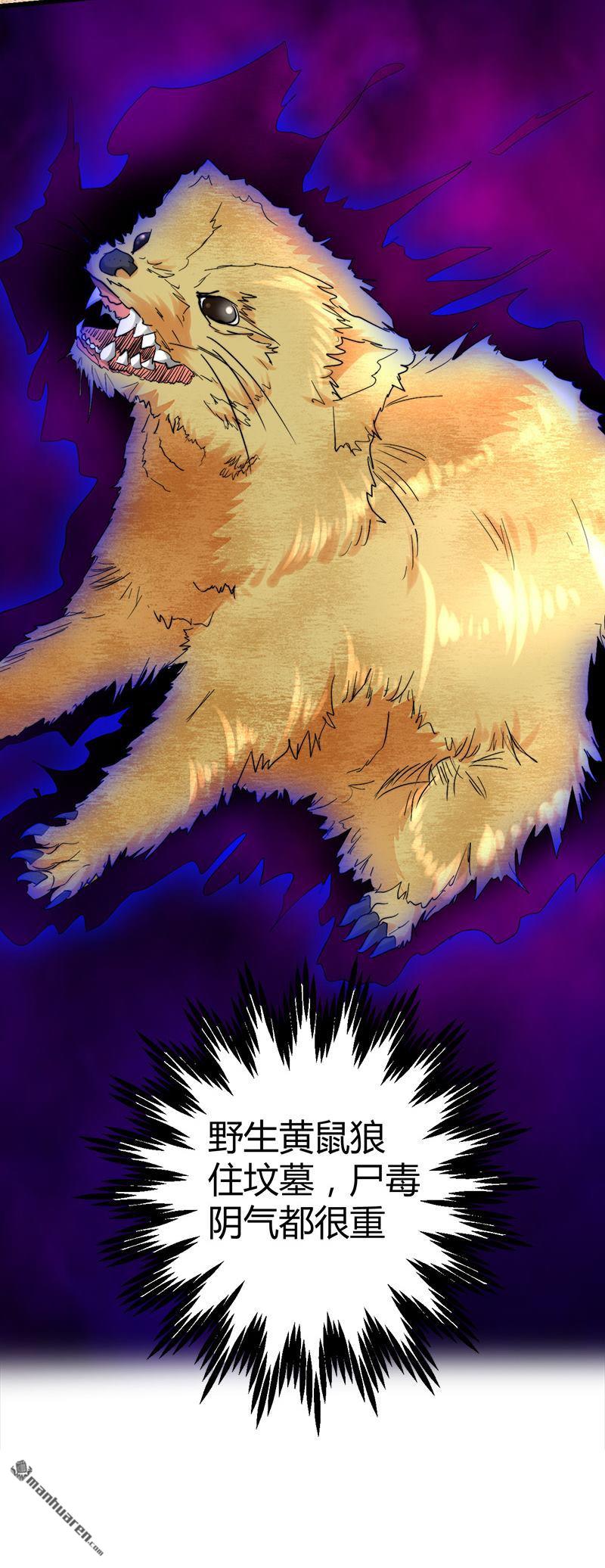 《文文晚安》漫画最新章节第43话 邪性动物！免费下拉式在线观看章节第【12】张图片