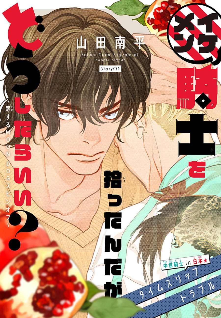 《捡到帅哥骑士怎么办》漫画最新章节第3话免费下拉式在线观看章节第【1】张图片