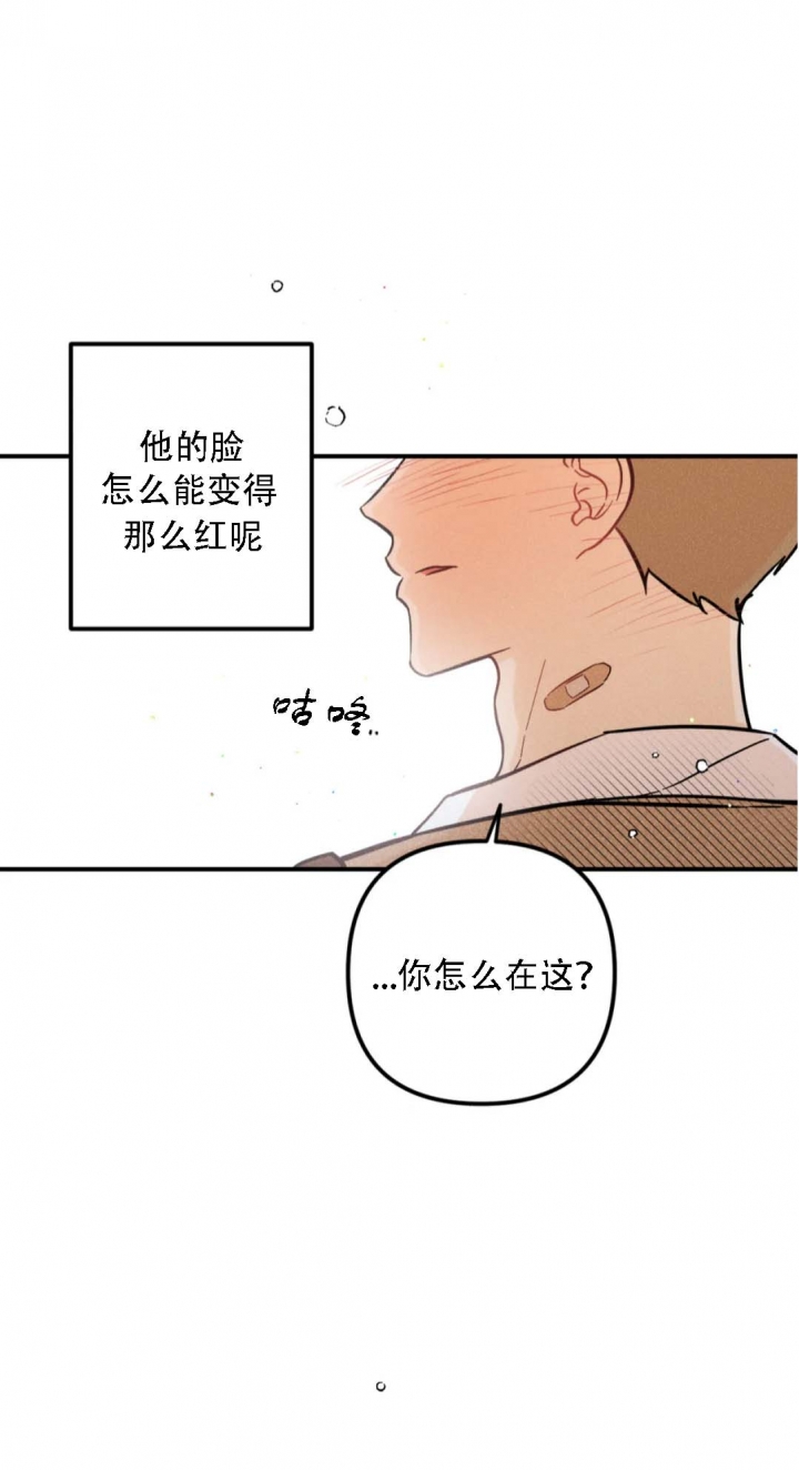 《奏爱(I+II)》漫画最新章节第58话免费下拉式在线观看章节第【15】张图片