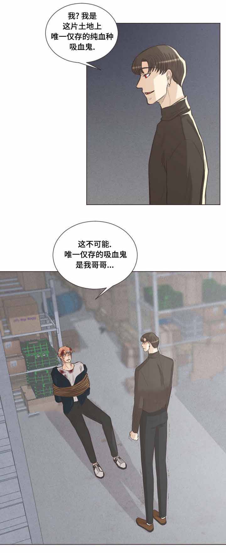 《人鬼结界/吸血鬼》漫画最新章节第61话免费下拉式在线观看章节第【15】张图片