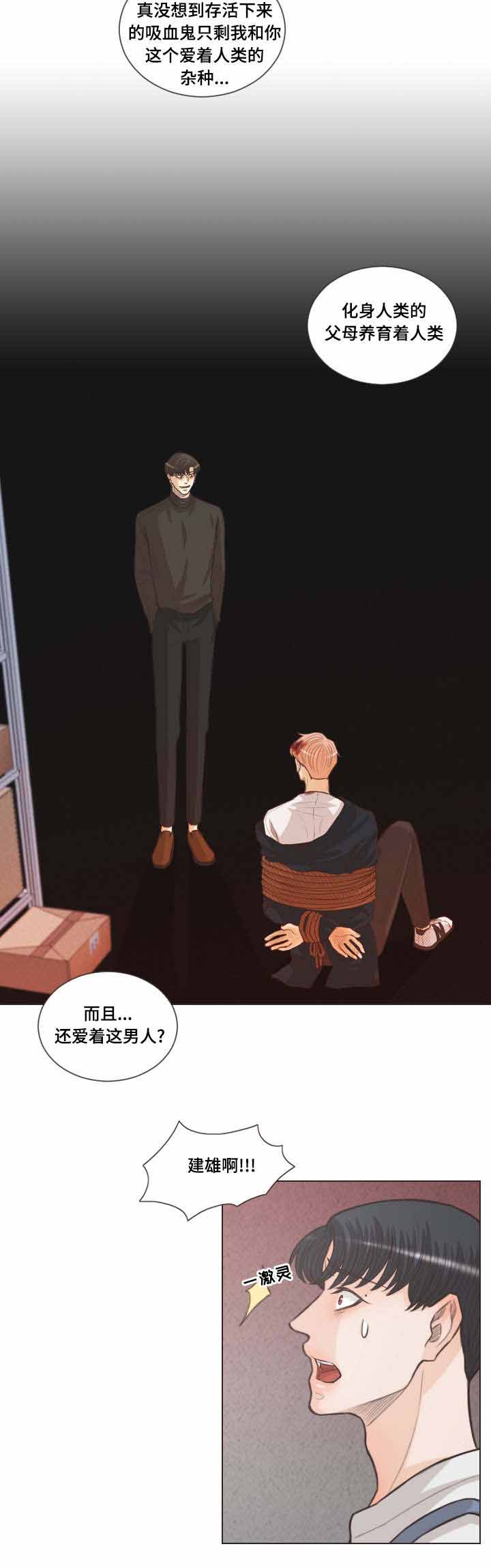 《人鬼结界/吸血鬼》漫画最新章节第63话免费下拉式在线观看章节第【9】张图片