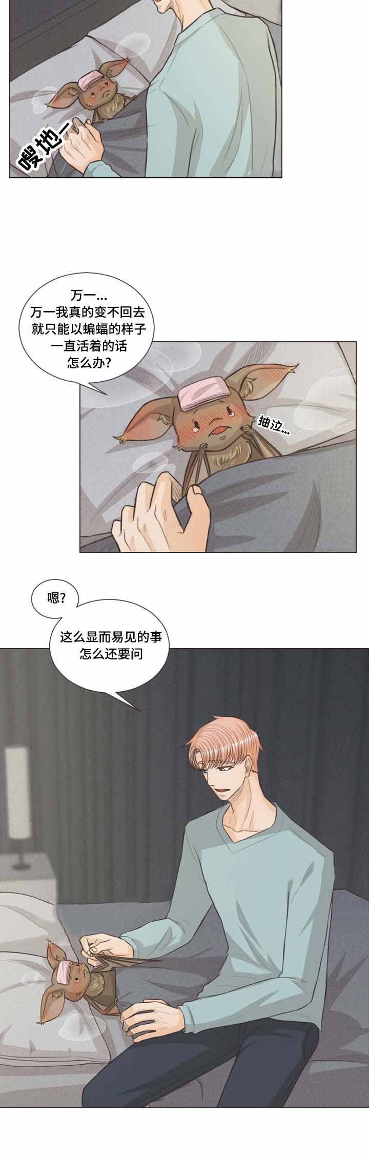 《人鬼结界/吸血鬼》漫画最新章节第41话免费下拉式在线观看章节第【7】张图片