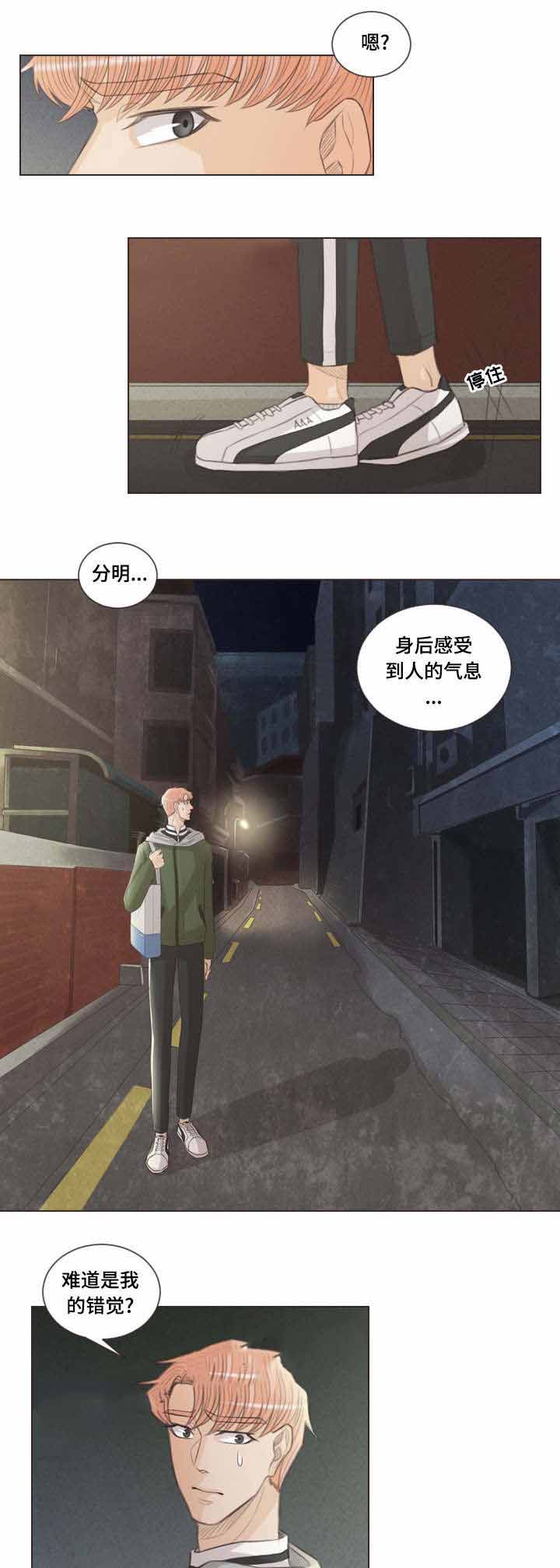 《人鬼结界/吸血鬼》漫画最新章节第52话免费下拉式在线观看章节第【9】张图片