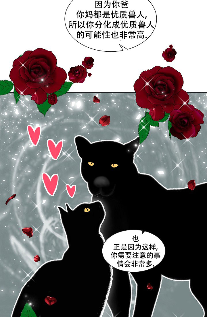 《非凡的初恋》漫画最新章节第1话免费下拉式在线观看章节第【33】张图片