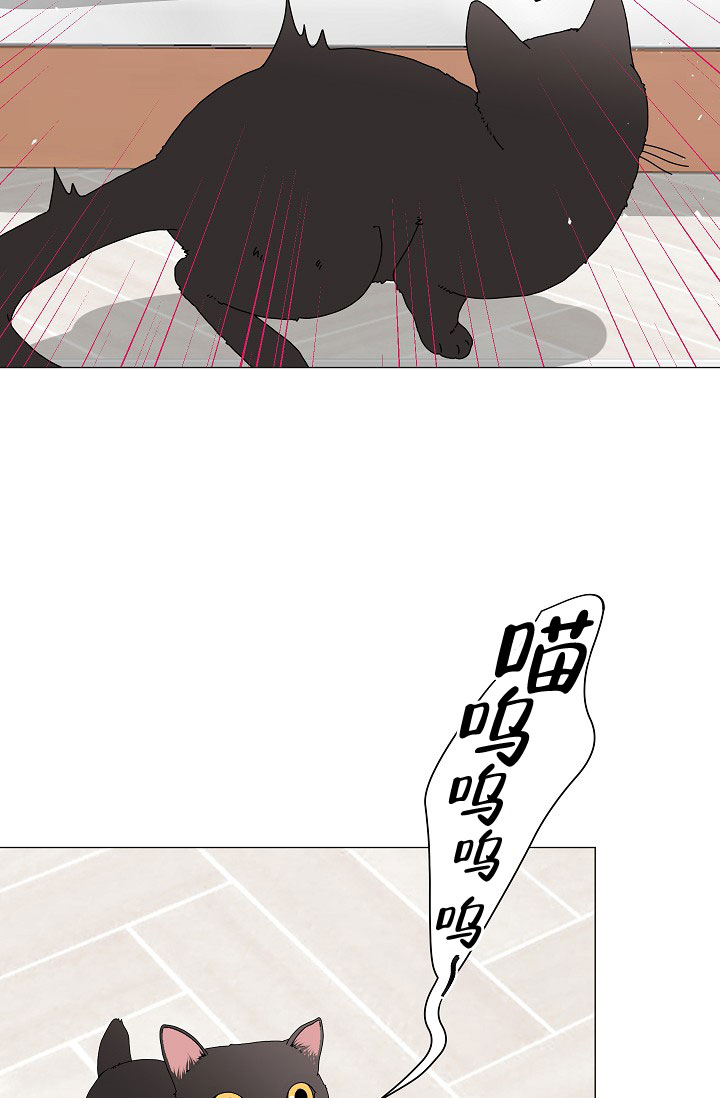 《非凡的初恋》漫画最新章节第5话免费下拉式在线观看章节第【11】张图片