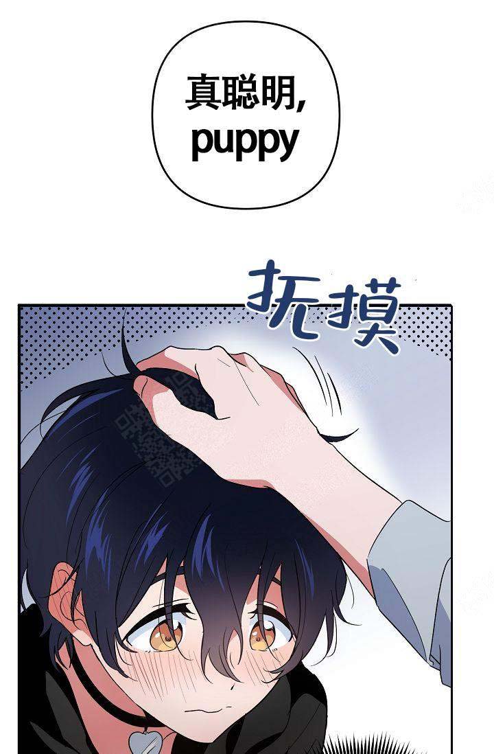 《不要抛弃puppy》漫画最新章节第11话免费下拉式在线观看章节第【24】张图片