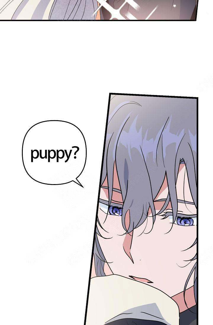 《不要抛弃puppy》漫画最新章节第19话免费下拉式在线观看章节第【5】张图片