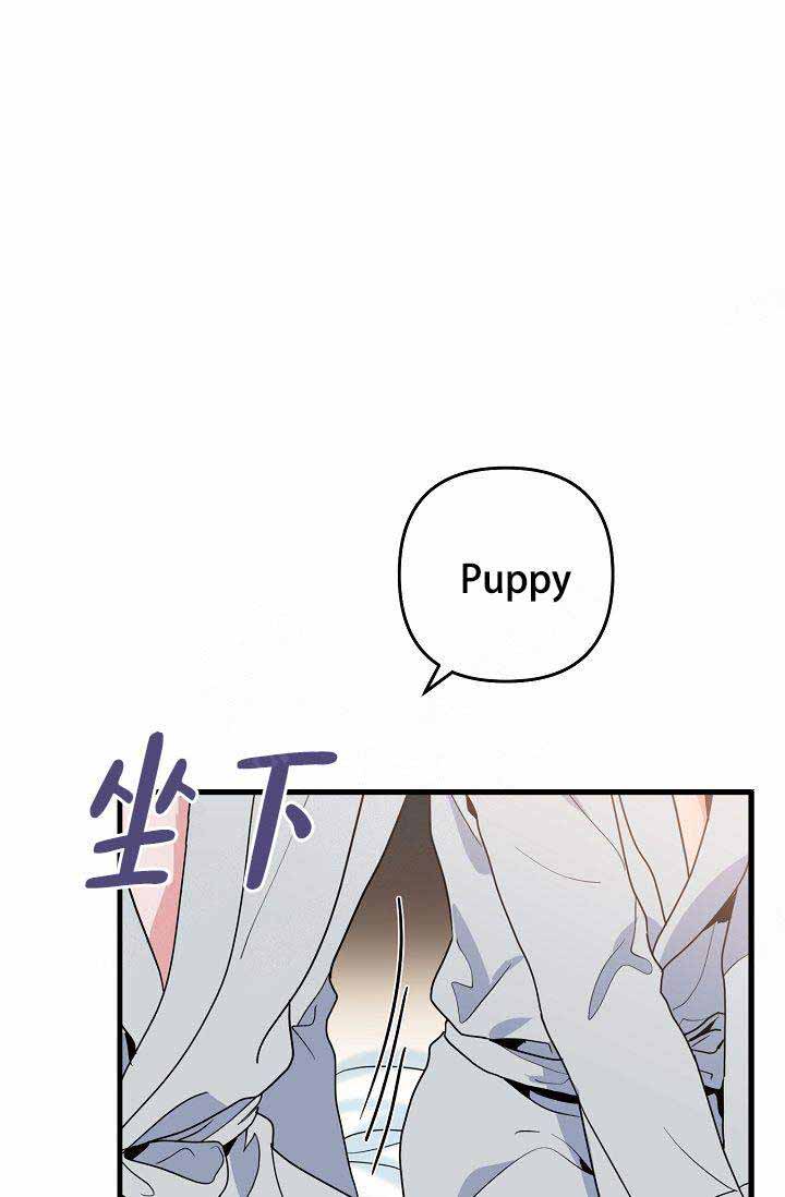 《不要抛弃puppy》漫画最新章节第23话免费下拉式在线观看章节第【7】张图片