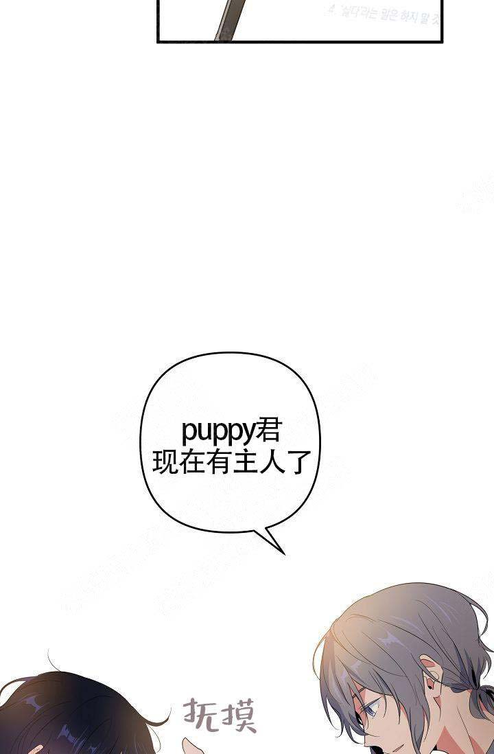 《不要抛弃puppy》漫画最新章节第10话免费下拉式在线观看章节第【15】张图片