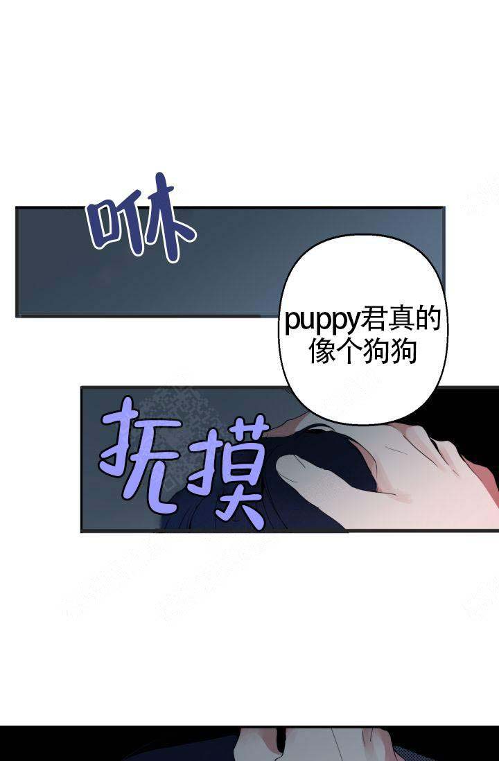 《不要抛弃puppy》漫画最新章节第3话免费下拉式在线观看章节第【8】张图片