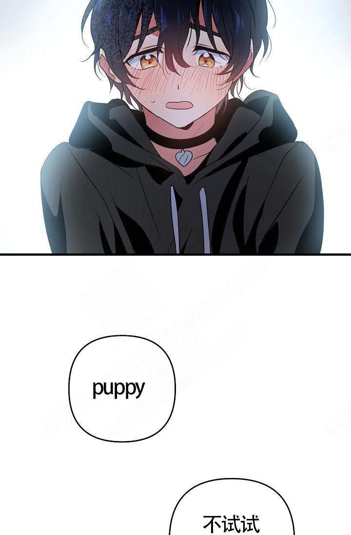 《不要抛弃puppy》漫画最新章节第12话免费下拉式在线观看章节第【22】张图片