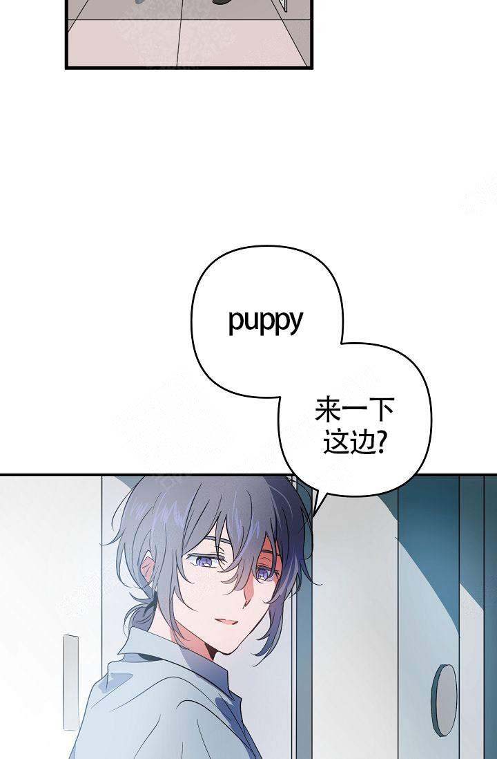 《不要抛弃puppy》漫画最新章节第12话免费下拉式在线观看章节第【2】张图片