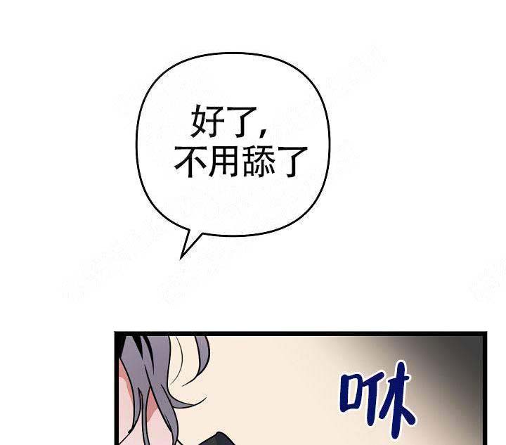 《不要抛弃puppy》漫画最新章节第17话免费下拉式在线观看章节第【5】张图片