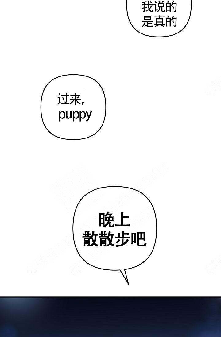 《不要抛弃puppy》漫画最新章节第12话免费下拉式在线观看章节第【31】张图片