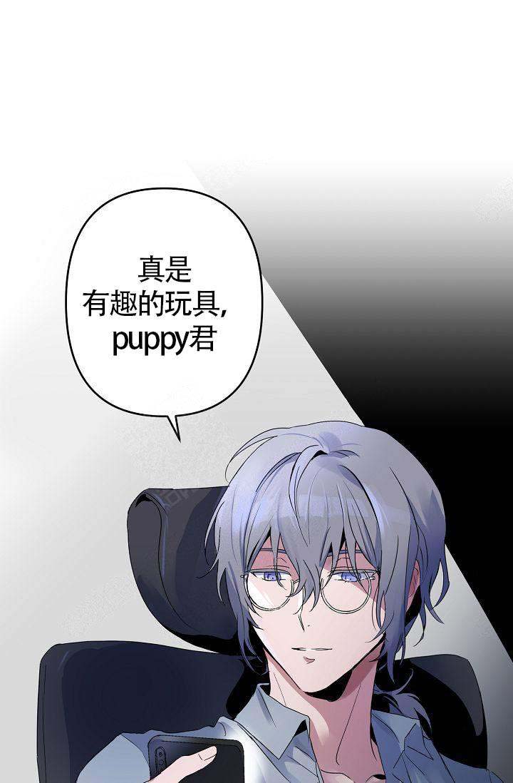 《不要抛弃puppy》漫画最新章节第6话免费下拉式在线观看章节第【17】张图片