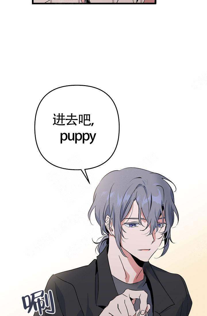 《不要抛弃puppy》漫画最新章节第16话免费下拉式在线观看章节第【16】张图片