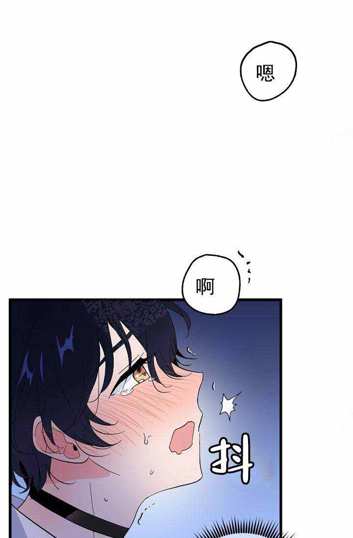 《不要抛弃puppy》漫画最新章节第38话免费下拉式在线观看章节第【36】张图片