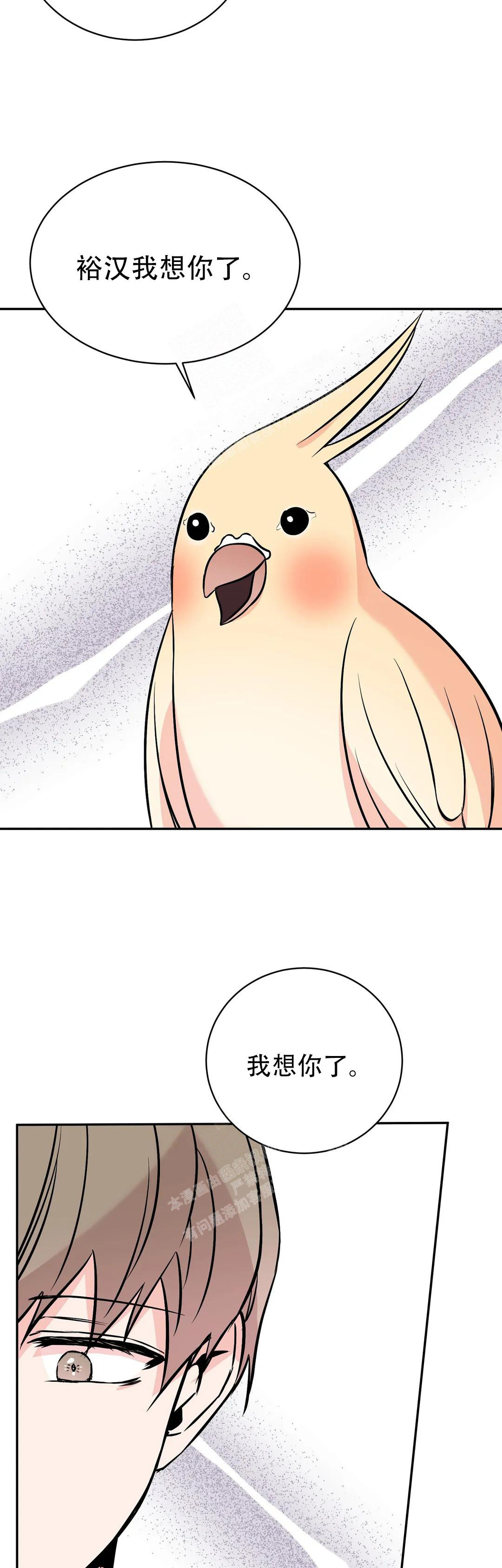 《逆转》漫画最新章节第61话免费下拉式在线观看章节第【15】张图片