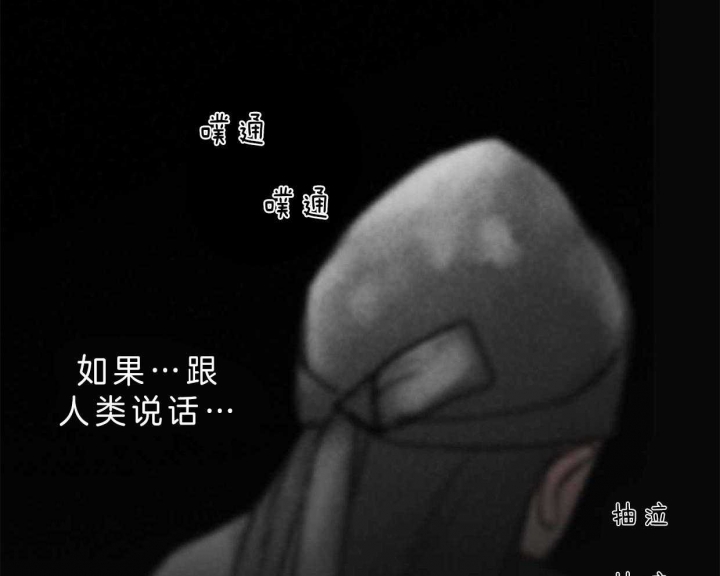 《卿负相思(第 I+II 季)》漫画最新章节第64话免费下拉式在线观看章节第【15】张图片