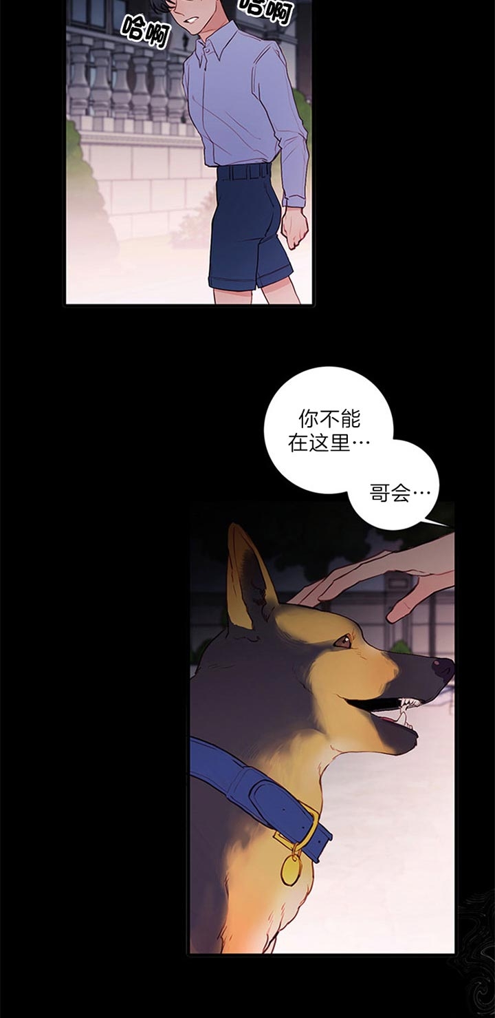 《恶魔之舞》漫画最新章节第69话免费下拉式在线观看章节第【13】张图片