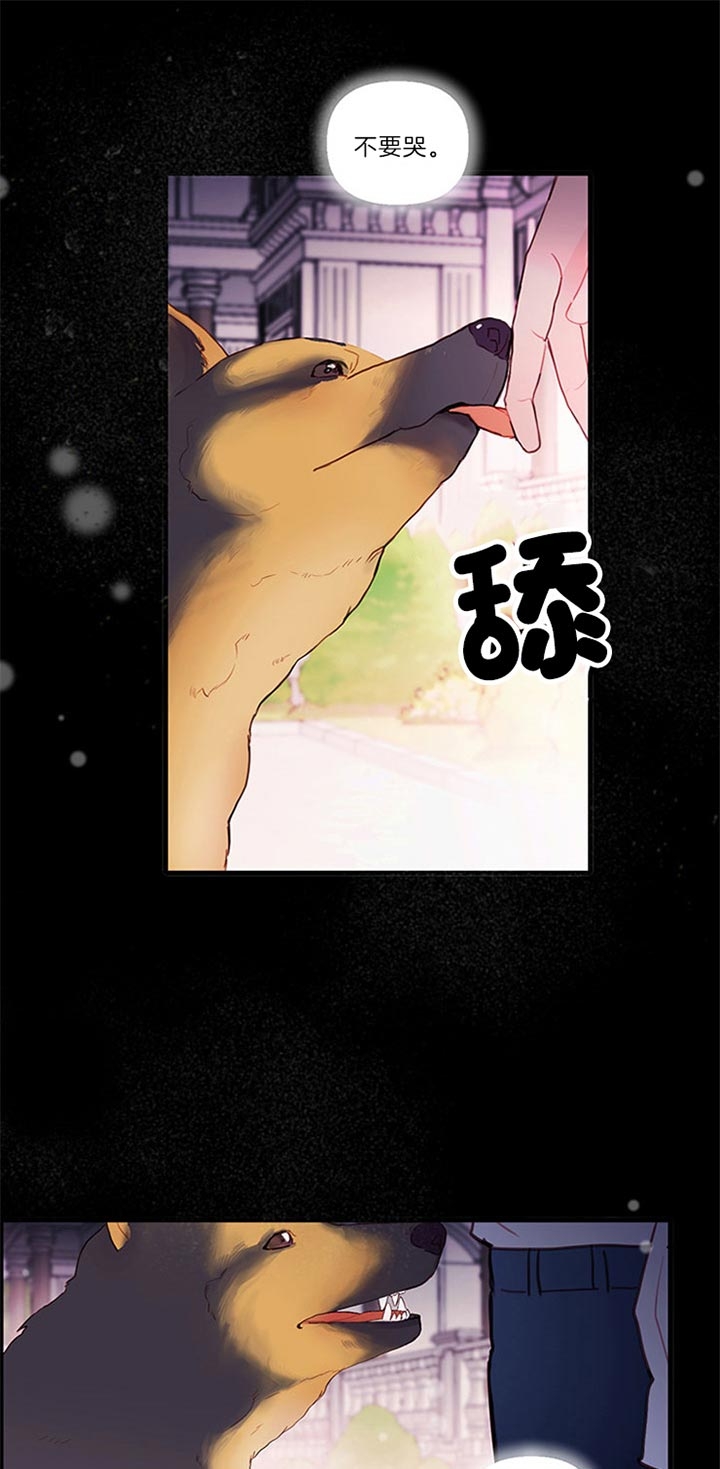 《恶魔之舞》漫画最新章节第70话免费下拉式在线观看章节第【1】张图片