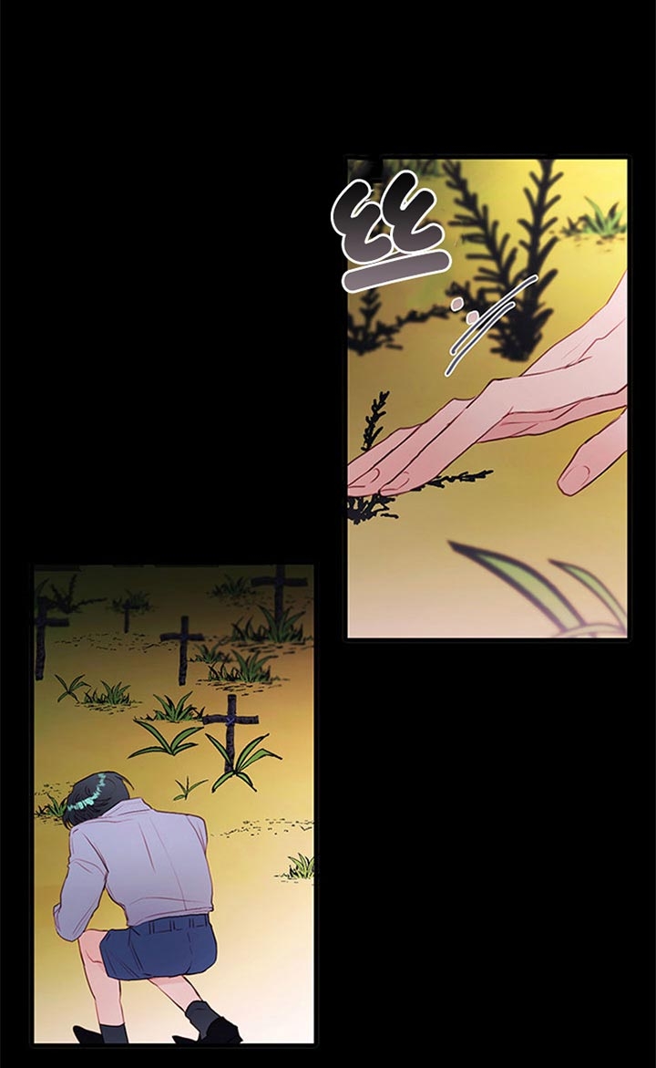 《恶魔之舞》漫画最新章节第70话免费下拉式在线观看章节第【11】张图片