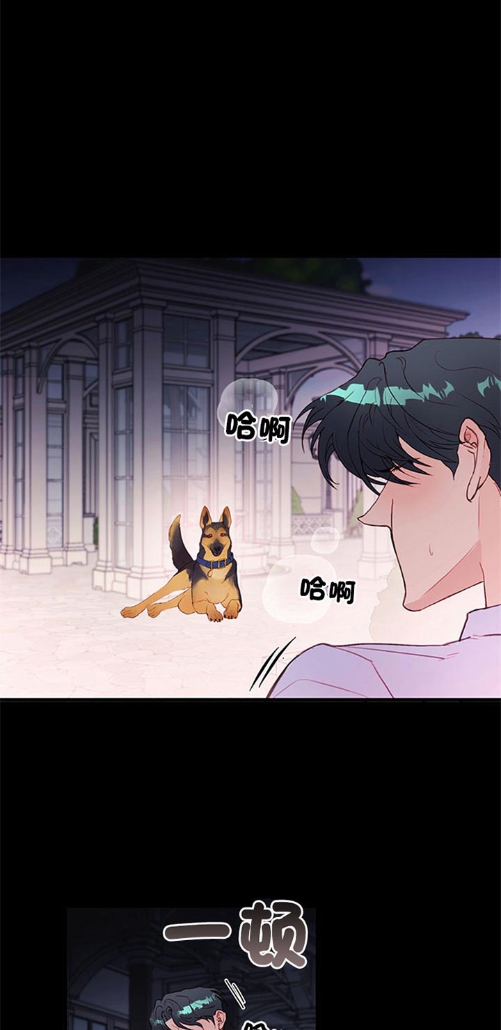 《恶魔之舞》漫画最新章节第69话免费下拉式在线观看章节第【12】张图片