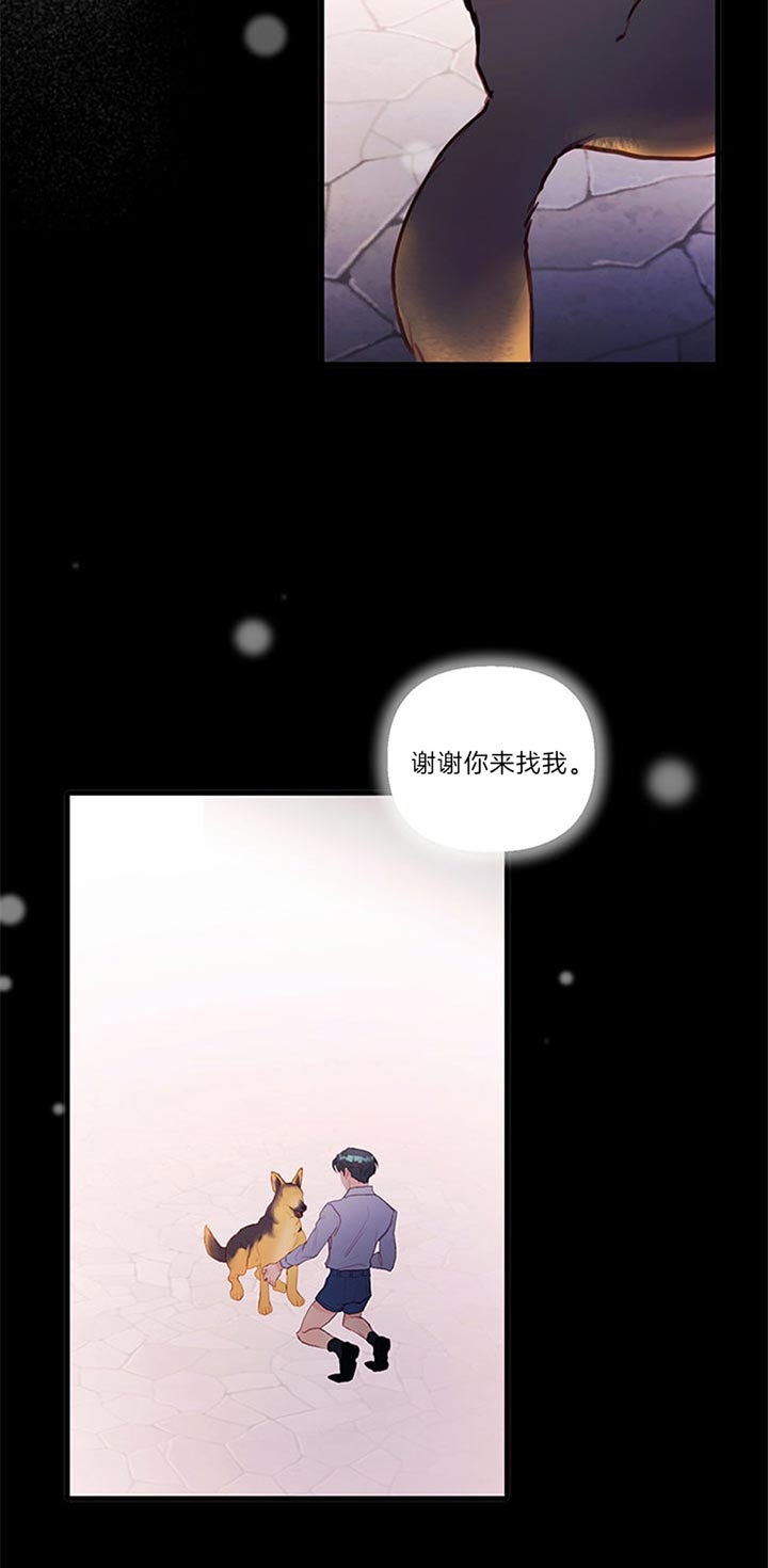 《恶魔之舞》漫画最新章节第70话免费下拉式在线观看章节第【4】张图片