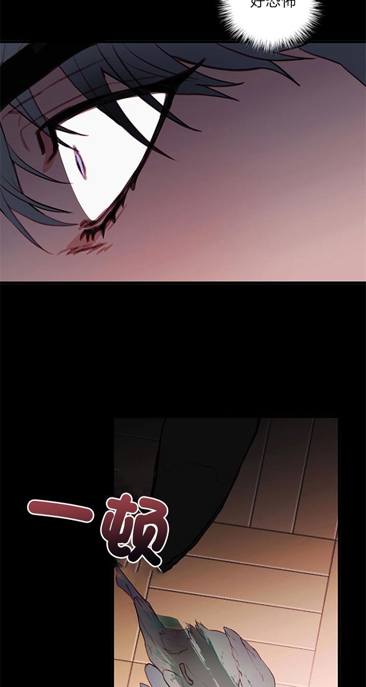 《恶魔之舞》漫画最新章节第69话免费下拉式在线观看章节第【5】张图片