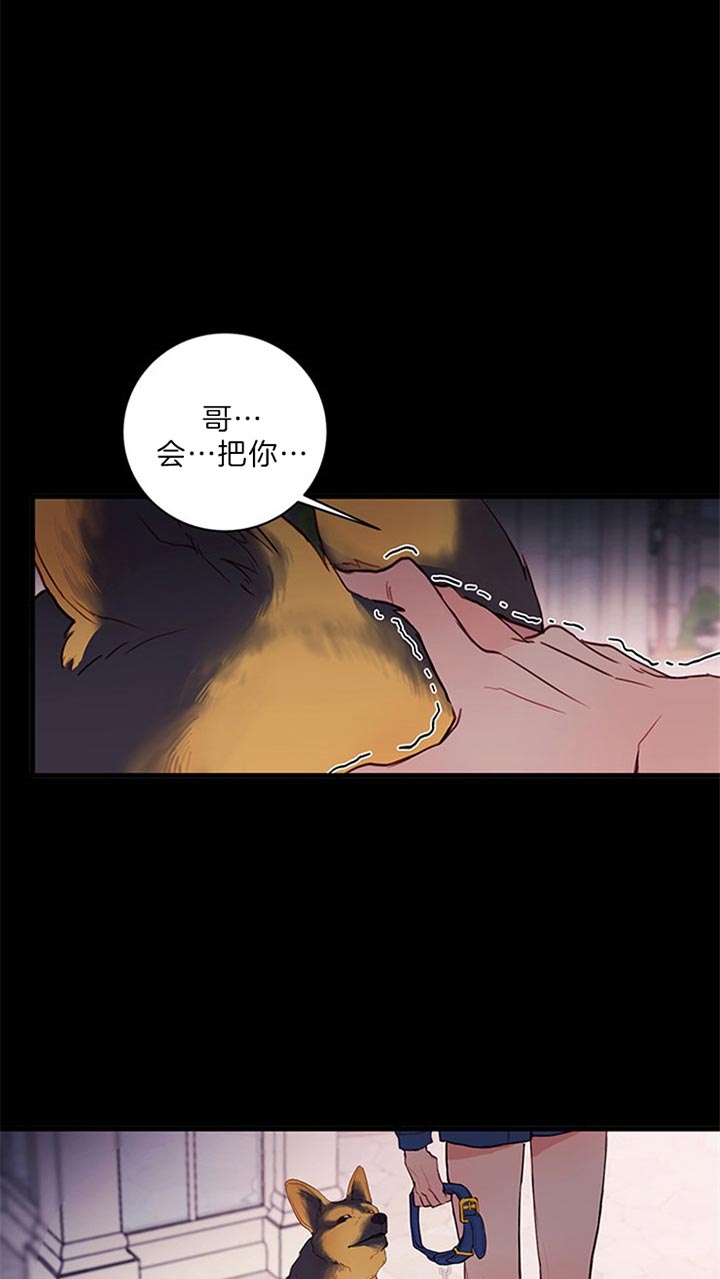 《恶魔之舞》漫画最新章节第69话免费下拉式在线观看章节第【19】张图片