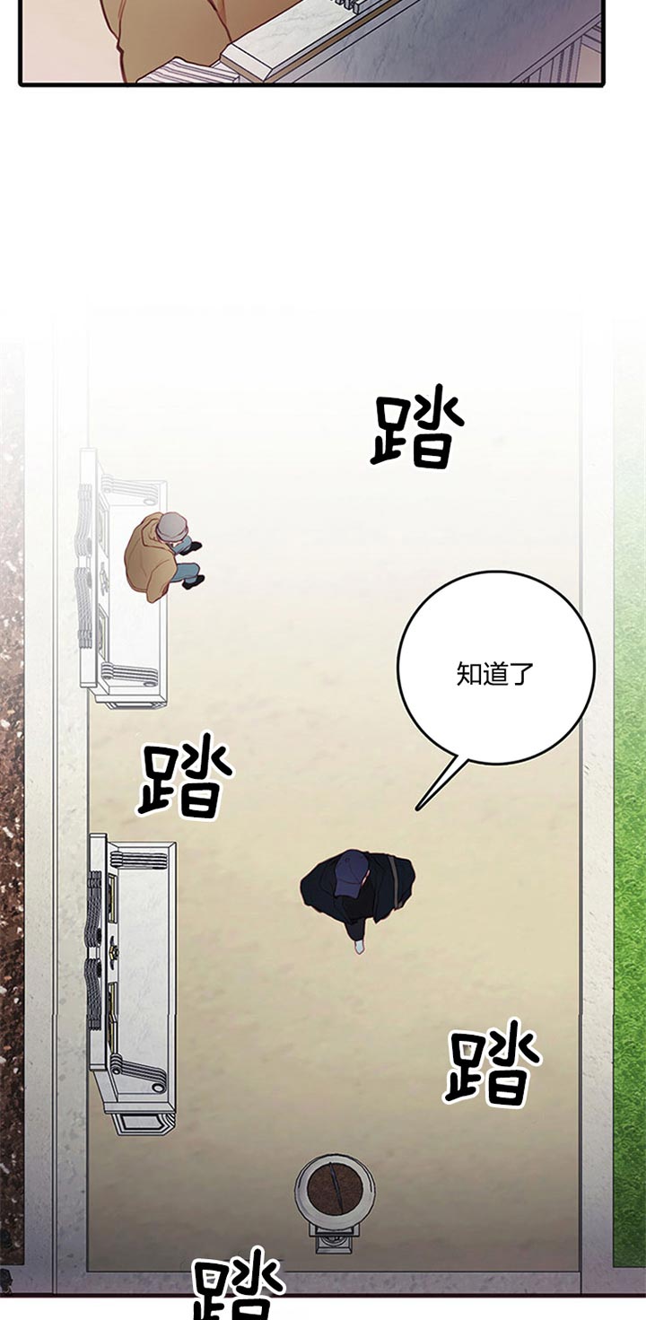 《恶魔之舞》漫画最新章节第53话免费下拉式在线观看章节第【16】张图片