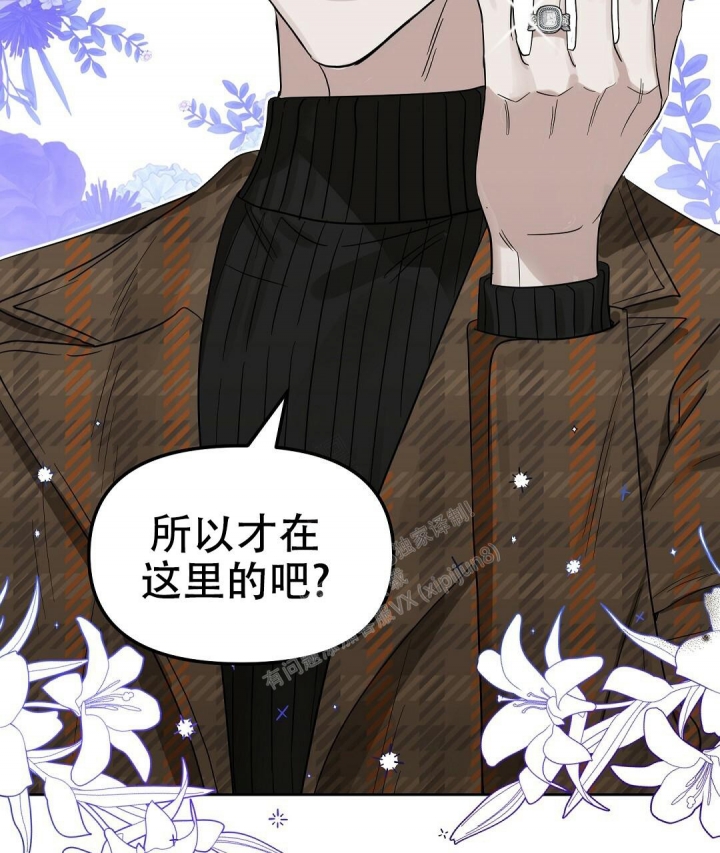 《吻我骗子(I+II+外传)》漫画最新章节第146话免费下拉式在线观看章节第【5】张图片