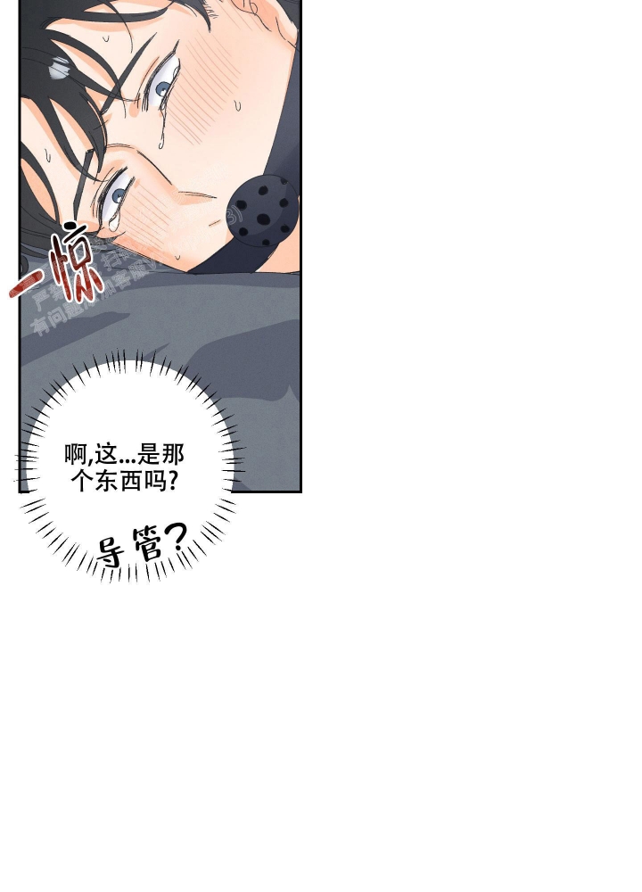 《黄色进化(完结+外传)》漫画最新章节第106话免费下拉式在线观看章节第【23】张图片