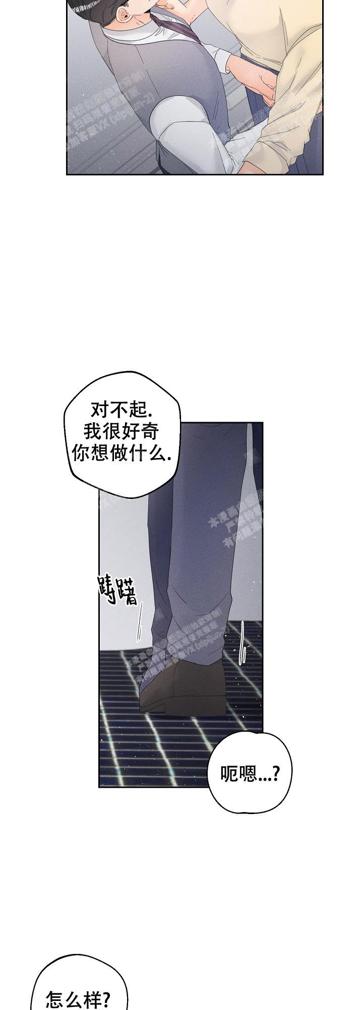 《黄色进化(完结+外传)》漫画最新章节第53话免费下拉式在线观看章节第【3】张图片