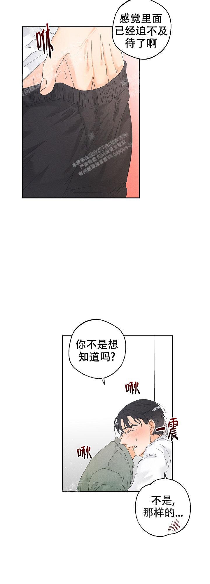 《黄色进化(完结+外传)》漫画最新章节第65话免费下拉式在线观看章节第【4】张图片