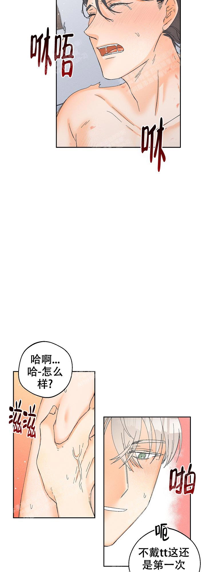 《黄色进化(完结+外传)》漫画最新章节第70话免费下拉式在线观看章节第【3】张图片