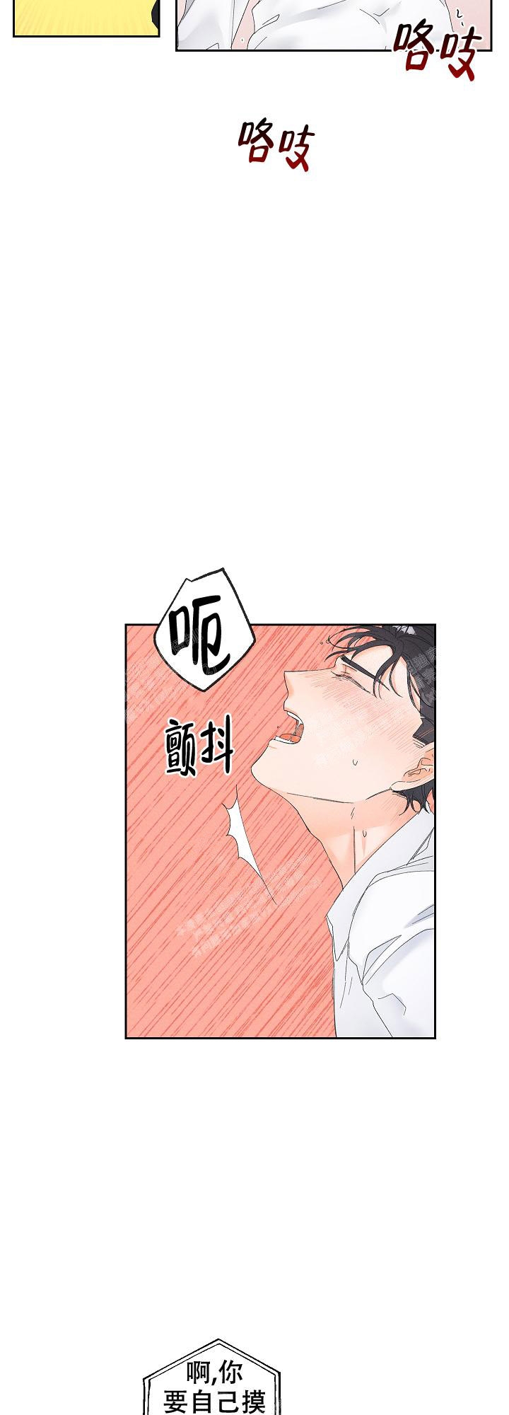 《黄色进化(完结+外传)》漫画最新章节第62话免费下拉式在线观看章节第【11】张图片