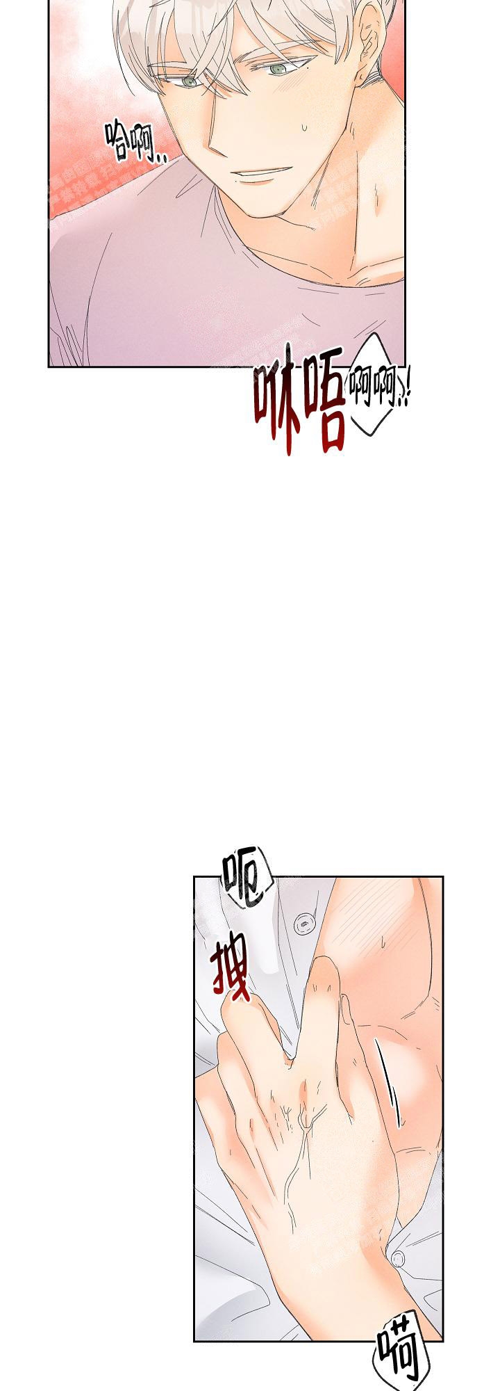 《黄色进化(完结+外传)》漫画最新章节第67话免费下拉式在线观看章节第【9】张图片