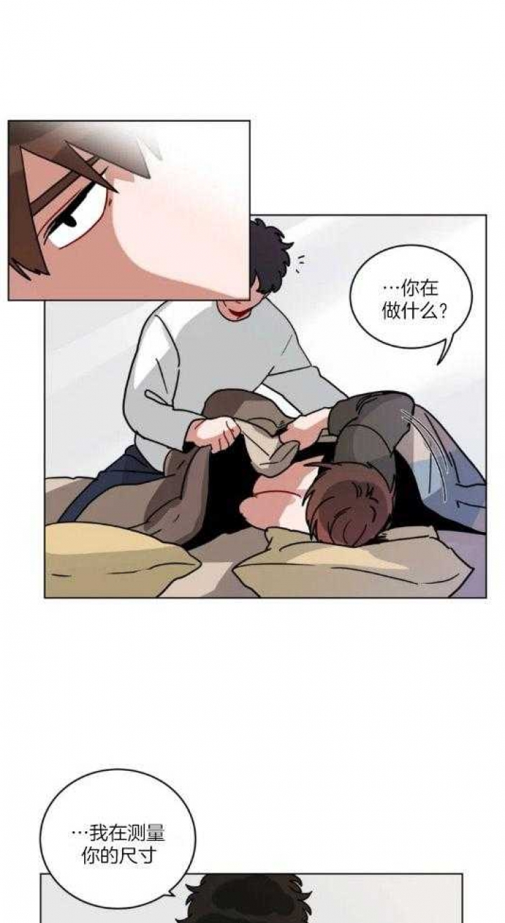 《手语》漫画最新章节第167话免费下拉式在线观看章节第【19】张图片