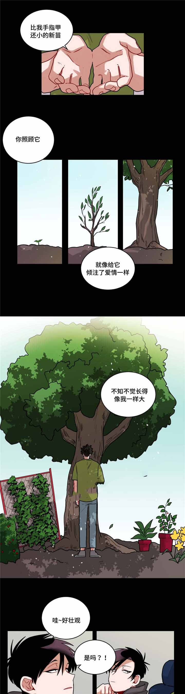 《手语》漫画最新章节第59话免费下拉式在线观看章节第【5】张图片