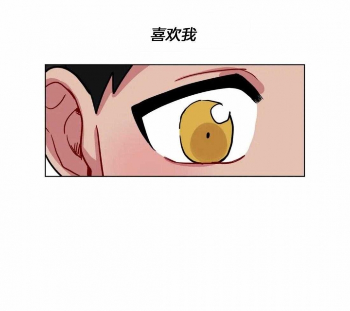 《手语》漫画最新章节第145话免费下拉式在线观看章节第【14】张图片