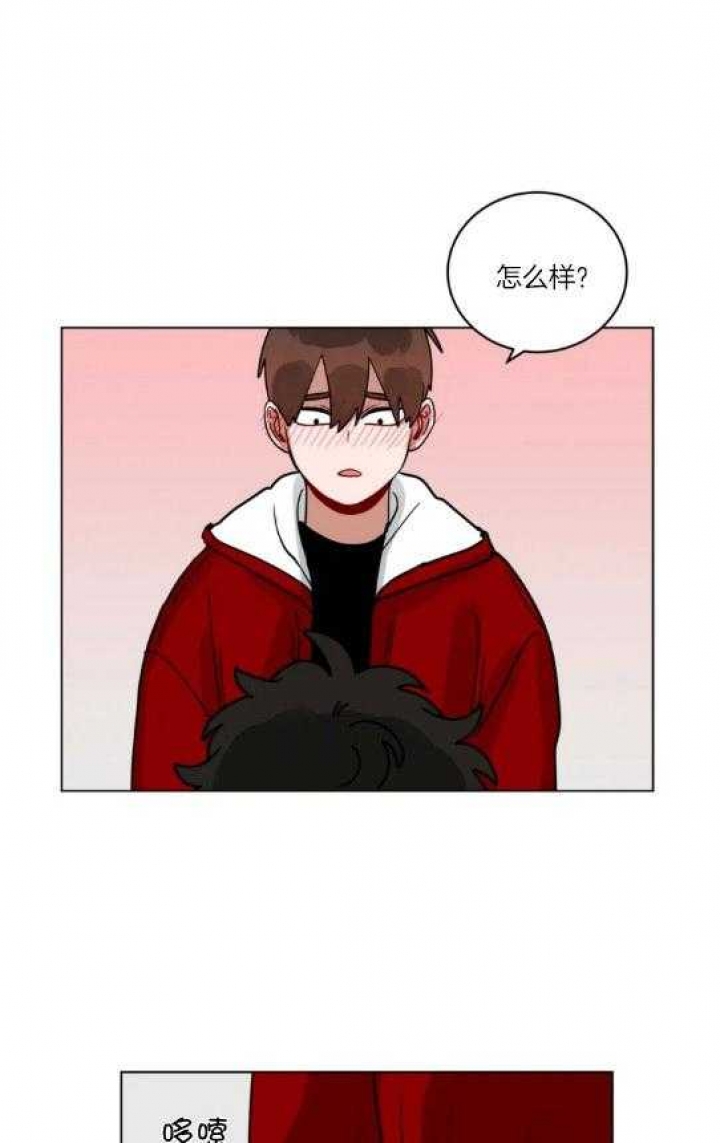 《手语》漫画最新章节第164话免费下拉式在线观看章节第【4】张图片