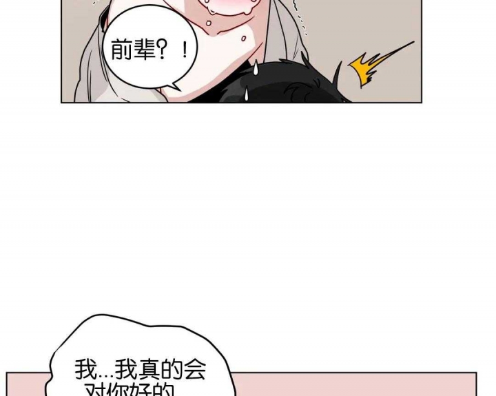 《手语》漫画最新章节第156话免费下拉式在线观看章节第【11】张图片