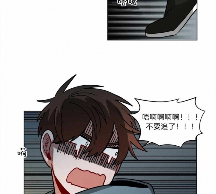 《手语》漫画最新章节第84话免费下拉式在线观看章节第【20】张图片