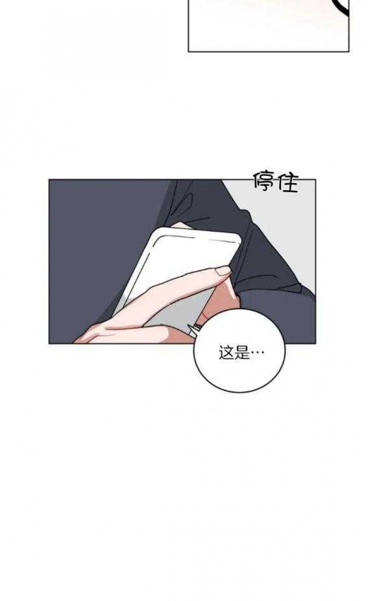 《手语》漫画最新章节第158话免费下拉式在线观看章节第【23】张图片