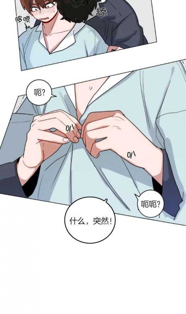 《手语》漫画最新章节第159话免费下拉式在线观看章节第【14】张图片