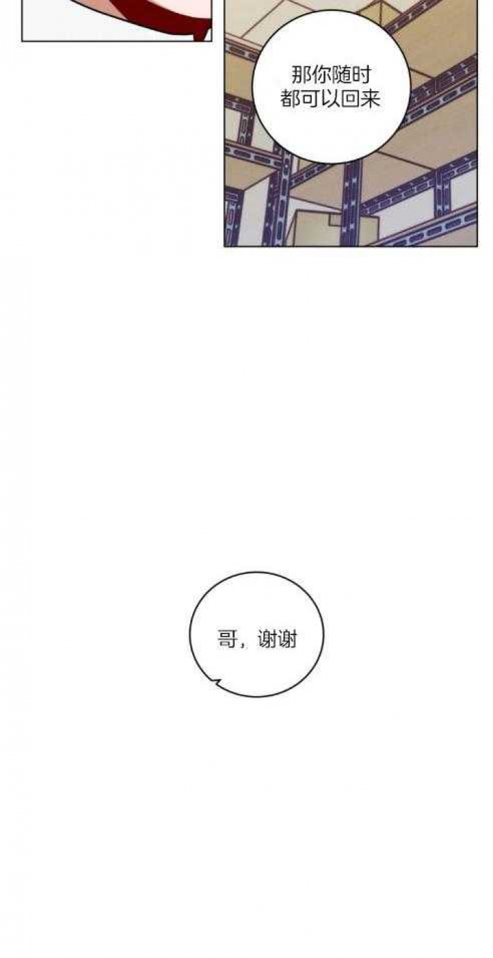 《手语》漫画最新章节第162话免费下拉式在线观看章节第【12】张图片